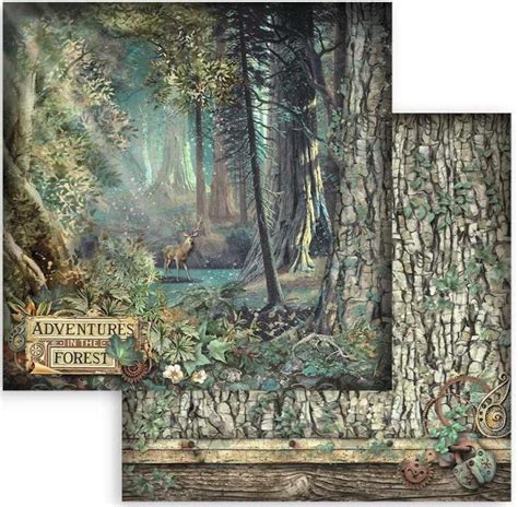Exploring the magical rituals and ceremonies of Stameria magic forest